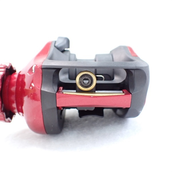 ０９ワカサギマチックＲ